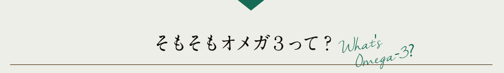 そもそもオメガ3って？