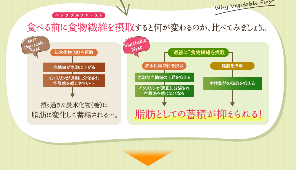 食べる前に食物繊維を摂取すると何が変わるのか、比べてみましょう。