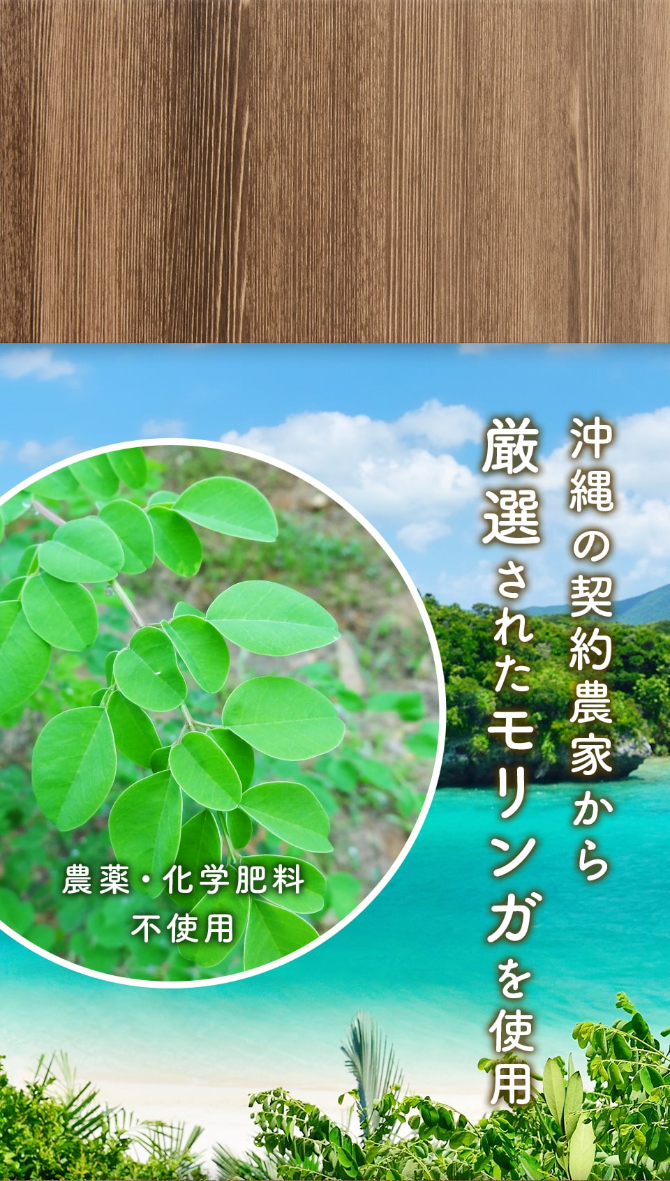 沖縄の契約農家から厳選されたモリンガを使用、農薬・化学肥料 不使用。