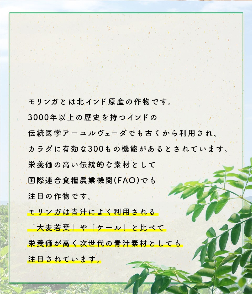 モリンガとは北インド原産の作物です。3000年以上の歴史を持つインドの伝統医学アーユルヴェーダでも古くから利用され、カラダに有効な300もの機能があるとされています。栄養価の高い伝統的な素材として国際連合食糧農業機関(FAO)でも注目の作物です。モリンガは青汁によく利用される「大麦若葉」や「ケール」と比べて栄養価が高く次世代の青汁素材としても注目されています。